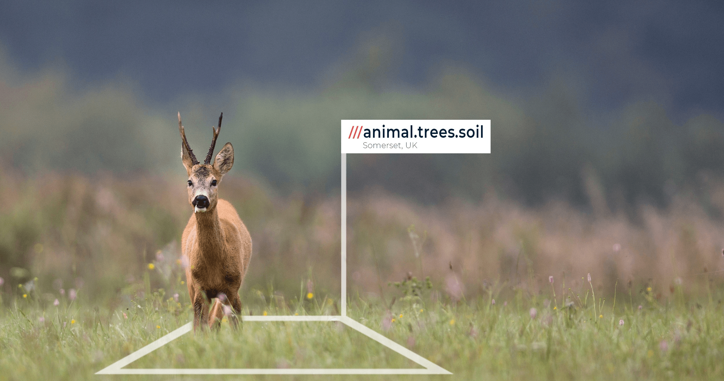 Heal Rewilding campaign